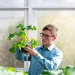 Crop science student examining plant